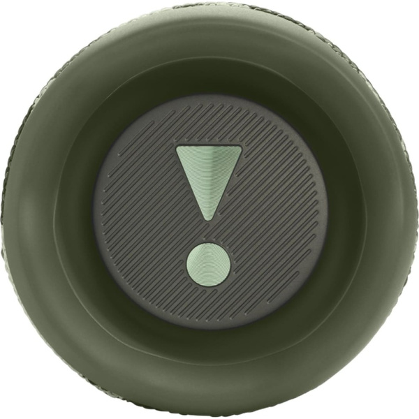 JBL Flip 6 хаки 4